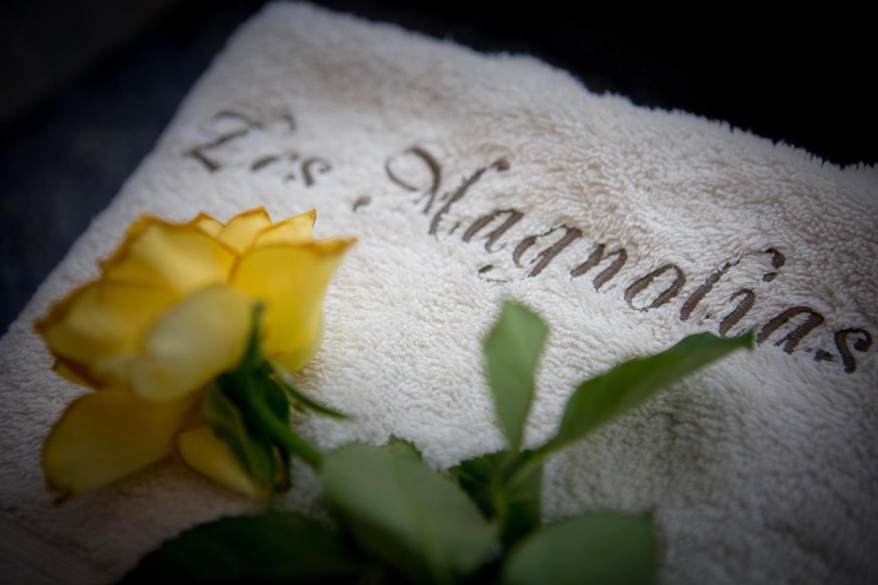 Les Magnolias Holiday Homes Lalinde Luaran gambar